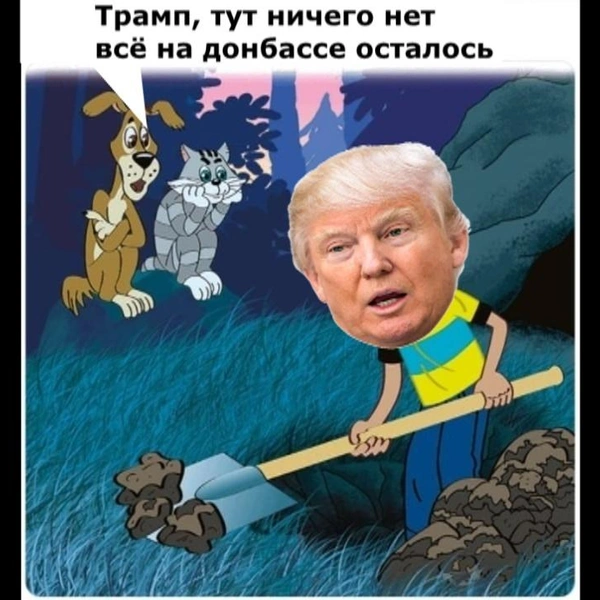 Источник: Соцсети