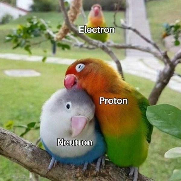 Источник: Basic Physics