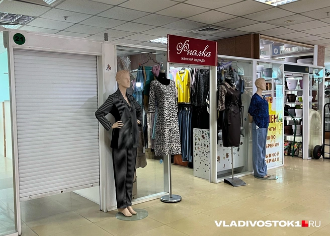 Источник: Елена Буйвол / VLADIVOSTOK1.RU