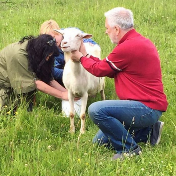 Дмитрий Крылов помогает Лолите доить козу