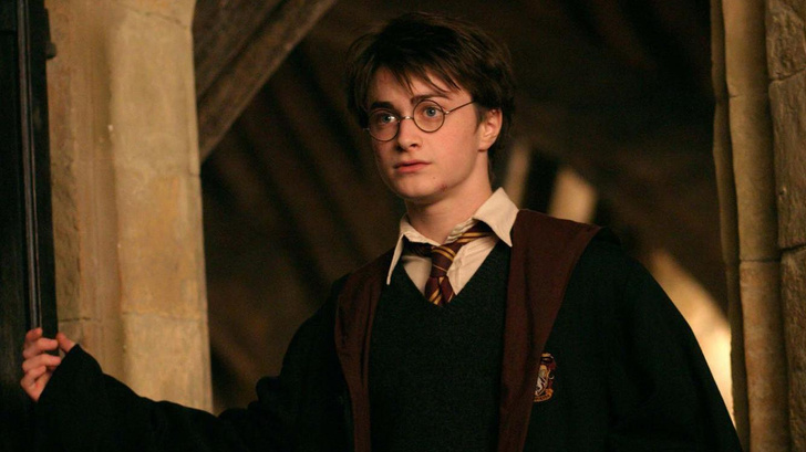 Отличница Гермиона и аутист Хагрид: какие психологические травмы у персонажей «Гарри Поттера»?