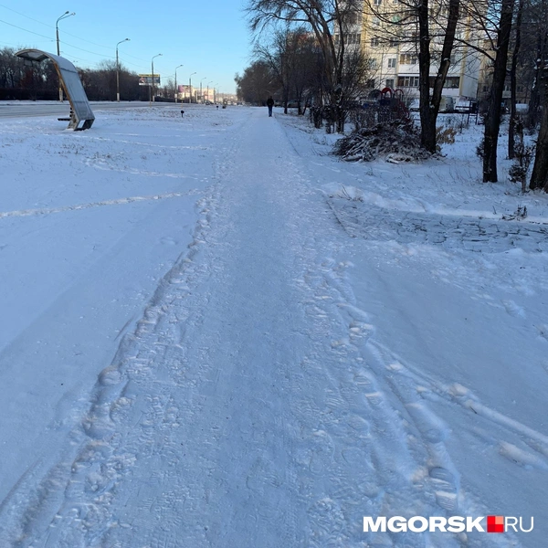 Источник: Анна Лялькова / MGORSK.RU