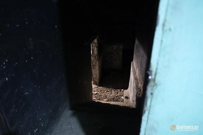 Девочка познакомилась со своим похитителем в интернете | Источник: Сергей Михайличенко / FONTANKA.RU