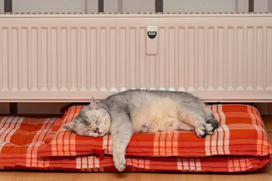 Эффективное отопление для загородного дома | Источник: Legion Media