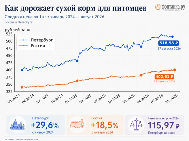 Источник: «Фонтанка.ру»