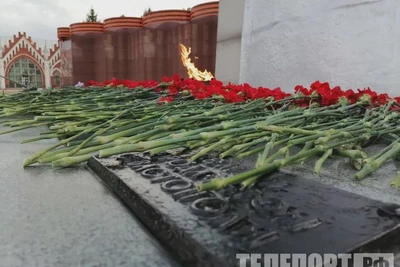 Более 500 тысяч гвоздик из Китая поступило в Приамурье