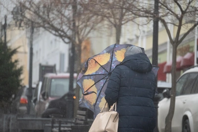 Один теплый день: прогноз погоды в Волгограде на выходные