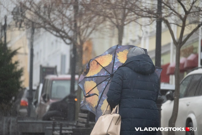 Тепло будет только один день — в воскресенье | Источник: Елена Буйвол / VLADIVOSTOK1.RU