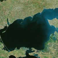 Азовское море превратили в рассол. Кто в нем теперь плавает?