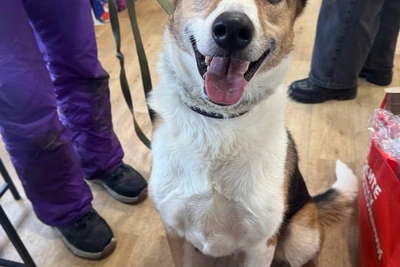 Билли: два дня без еды и воды в Нижнем Новгороде