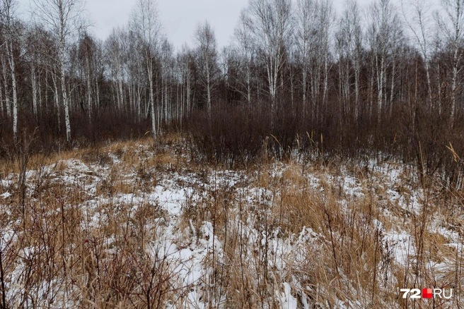 Место проведения испытаний | Источник: Ирина Шарова / 72.RU