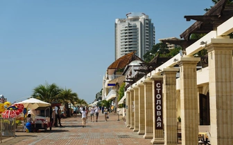 «Нью-Васюки стали реальностью»: турэксперт раскритиковал Сочи за цены, искусственный газон и торговцев