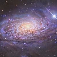 Аватарка Chandra