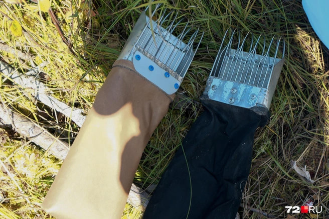 Еще один способ сбора ягоды — с помощью комбайна. Их местные покупают у мастера из Тобольского района. Комбайном чешут болота, и через решетку ягода просачивается в рукав. Уже оттуда — высыпают клюкву в ведро. Таким способом пользуются в основном мужчины, потому что он тяжелее и рука устает быстрее | Источник: Анастасия Малышкина