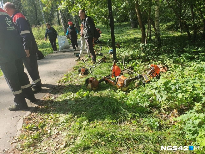 Источник: Полина Чернядьева / NGS42.RU