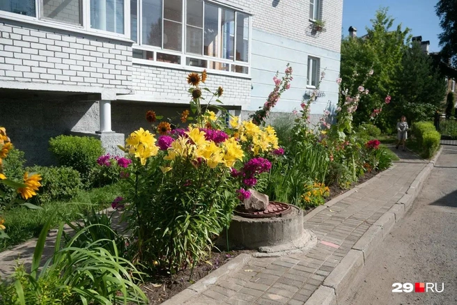 Источник: Иван Митюшёв / 29.RU