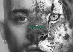 Зейн Малик анонсировал новый альбом: название, обложка и дата выхода