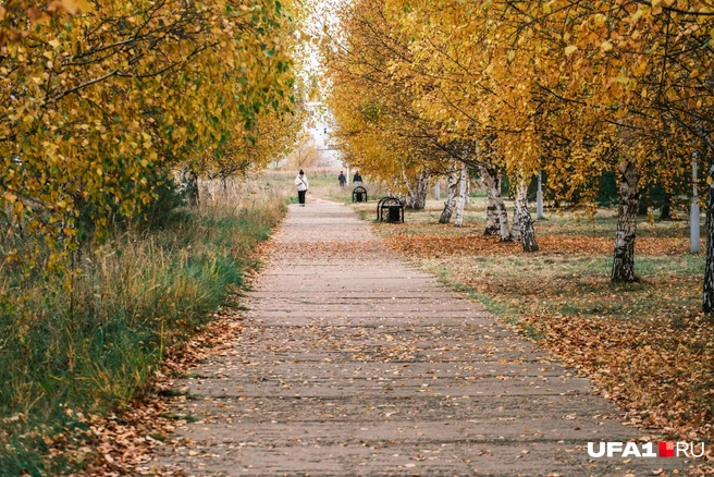 А вот тут красиво | Источник: Булат Салихов / UFA1.RU