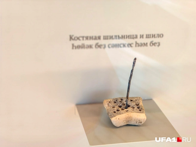 Одна из местных находок | Источник: Булат Салихов / UFA1.RU