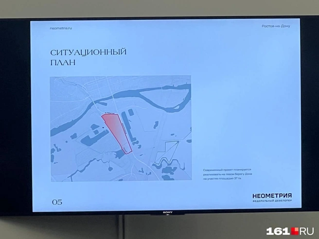 Источник: Марина Гаричян / 161.RU