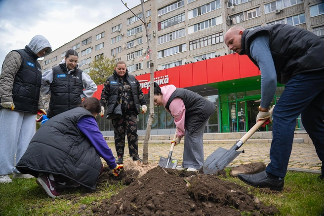 До конца весны в парках, скверах и общественных пространствах суммарно появится тысяча деревьев | Источник: ССК