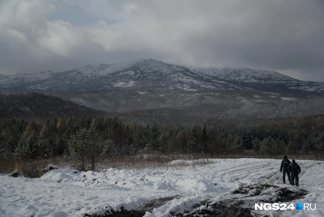 Прошла почти неделя, как в тайге начали искать семью | Источник: Мария Зарукина / NGS24.RU