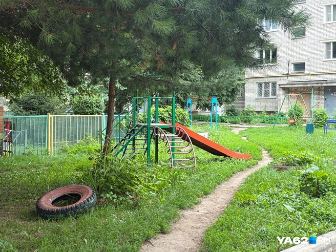 Под этой горкой пытались оставить «закладку» | Источник: Дарья Ходосевич / YA62.RU