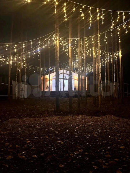 Источник: Авито / Avito.ru