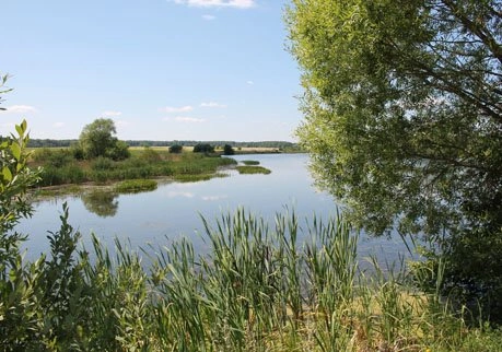 В Рязанском районе в озере утонул мужчина | ya62.ru