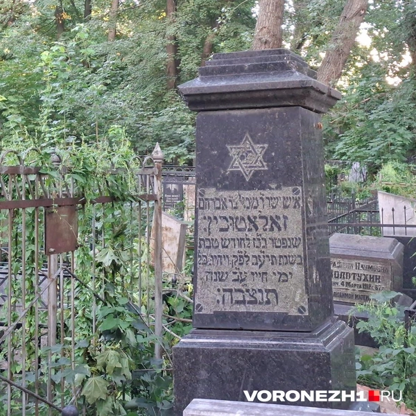 Источник: Алёна Воропаева / Voronezh1.ru