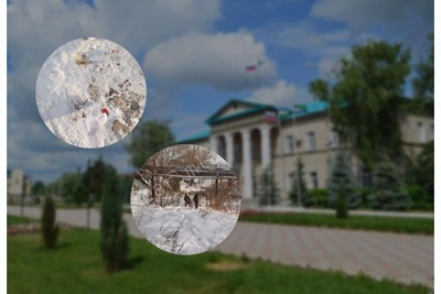 В Мелеузе дети заманивают и убивают уток