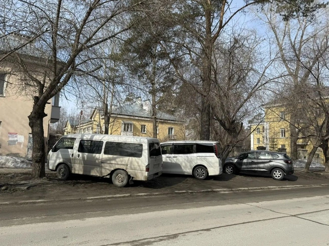 Нарушители уничтожают газоны | Источник: мэрия Новосибирска