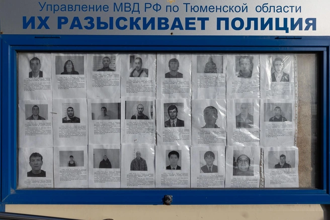 Силовики больше не ищут бизнесмена | Источник: Ирина шарова / 72.RU