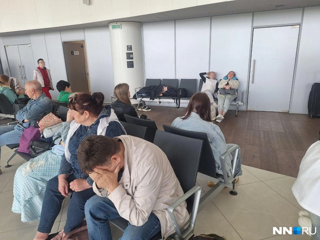Сотни уставших людей в какой-то момент были готовы отменять отпуска | Источник: Валерия Коростелева / NN.RU