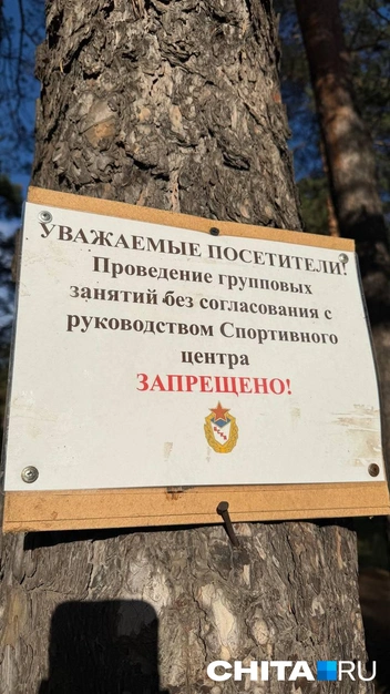 «Там Долорес Амбридж завелась?» Запретительные таблички приколотили прямо на деревья в парке СибВО | Источник: очевидец
