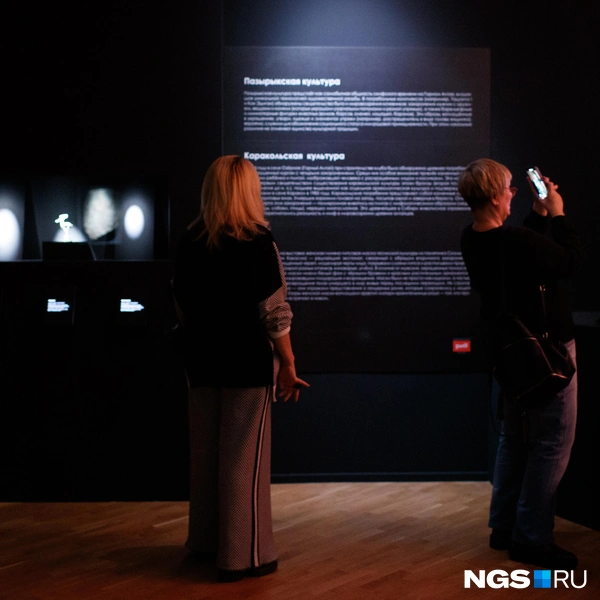 На стенах есть описания экспонатов | Источник: Андрей Бортко / NGS.RU