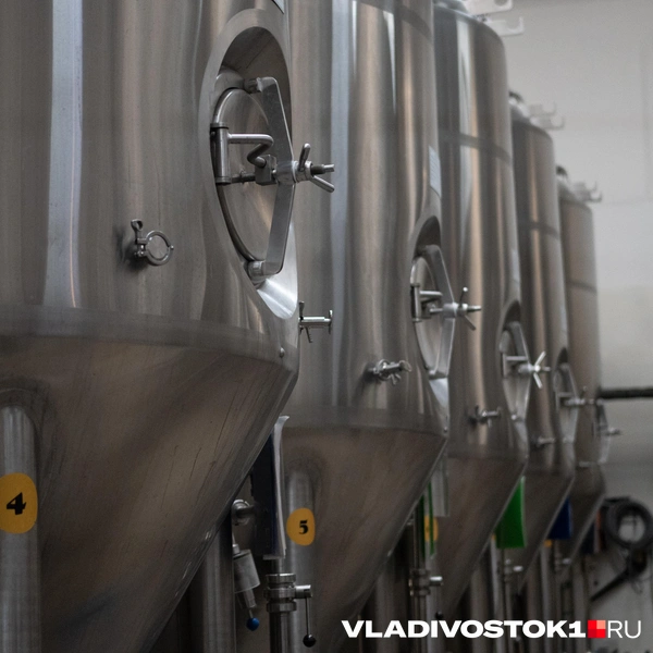 Источник: Елена Буйвол / VLADIVOSTOK1.RU