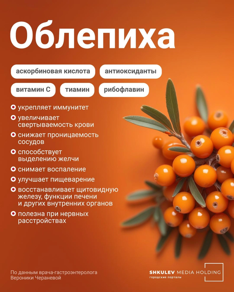 Облепиха может еще не раз пригодиться вам в течение года | Источник: Полина Авдошина / Городские порталы