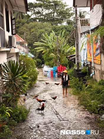 Стоит свернуть с оживленной улицы, время замедляется | Источник: Тамара Башаева / NGS55.RU