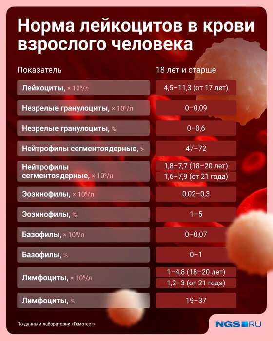 Источник: Семен Казьмин / Городские медиа