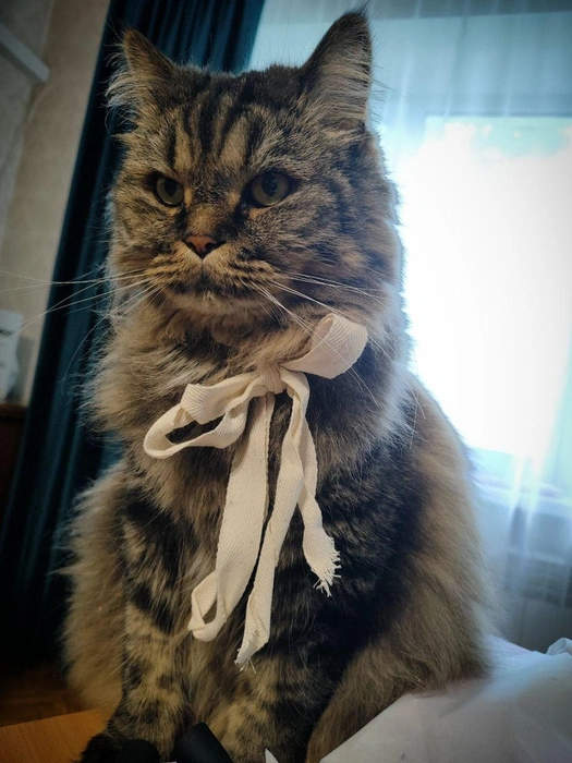Министр не ваших дел =) | Источник: читатель 63.RU