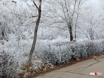 Источник: Читатели 56.RU