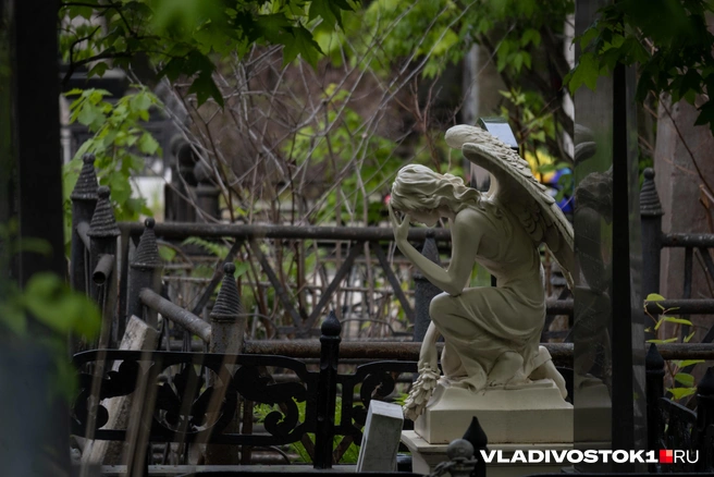 Источник: Елена Буйвол / VLADIVOSTOK1.RU