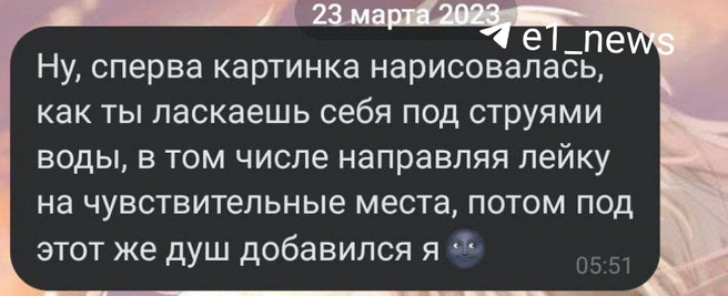 Переписка смелая даже для совершеннолетней пары | Источник: читатель E1.RU