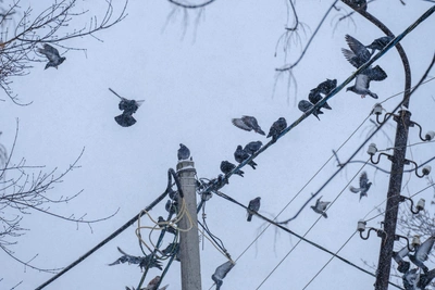 Снег в Уфе не кончается: прогноз на 4 марта