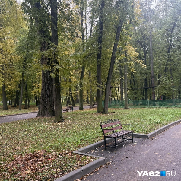 Источник: Сергей Петунин / YA62.RU