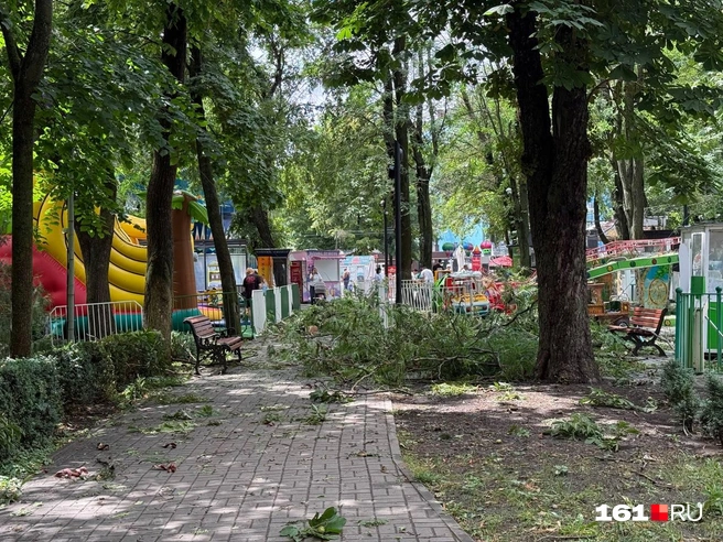 Сейчас в парке наводят порядок и ликвидируют последствия урагана | Источник: читатель 161.RU