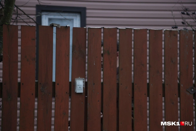 Источник: Дмитрий Толстошеев / MSK1.RU