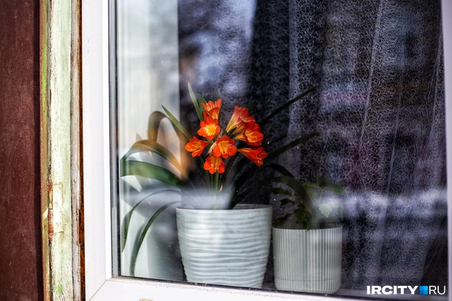 В это же кашпо с грунтом (почему бы и нет) можно что-нибудь посадить — сразу или позже | Источник: Ксения Филимонова