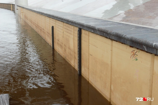 Уровень реки повысился. В прошлом году вода даже не скрывала и части этой линейки | Источник: Павел Красоткин / 72.RU